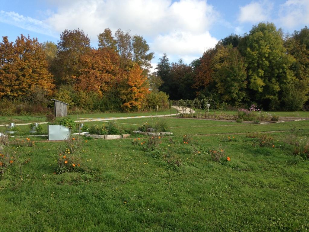 Photo du jardin