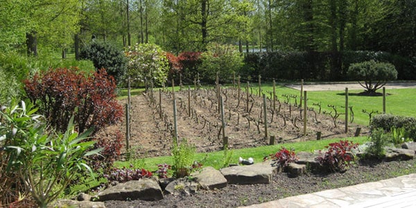 Photo du jardin