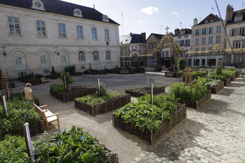 Photo du jardin